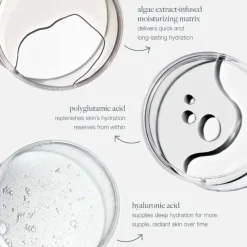 Dermalogica Serum Og Ampuller|Circular Hydration Serum