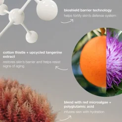 Dermalogica Serum Og Ampuller|Dynamic Skin Strengthening Serum