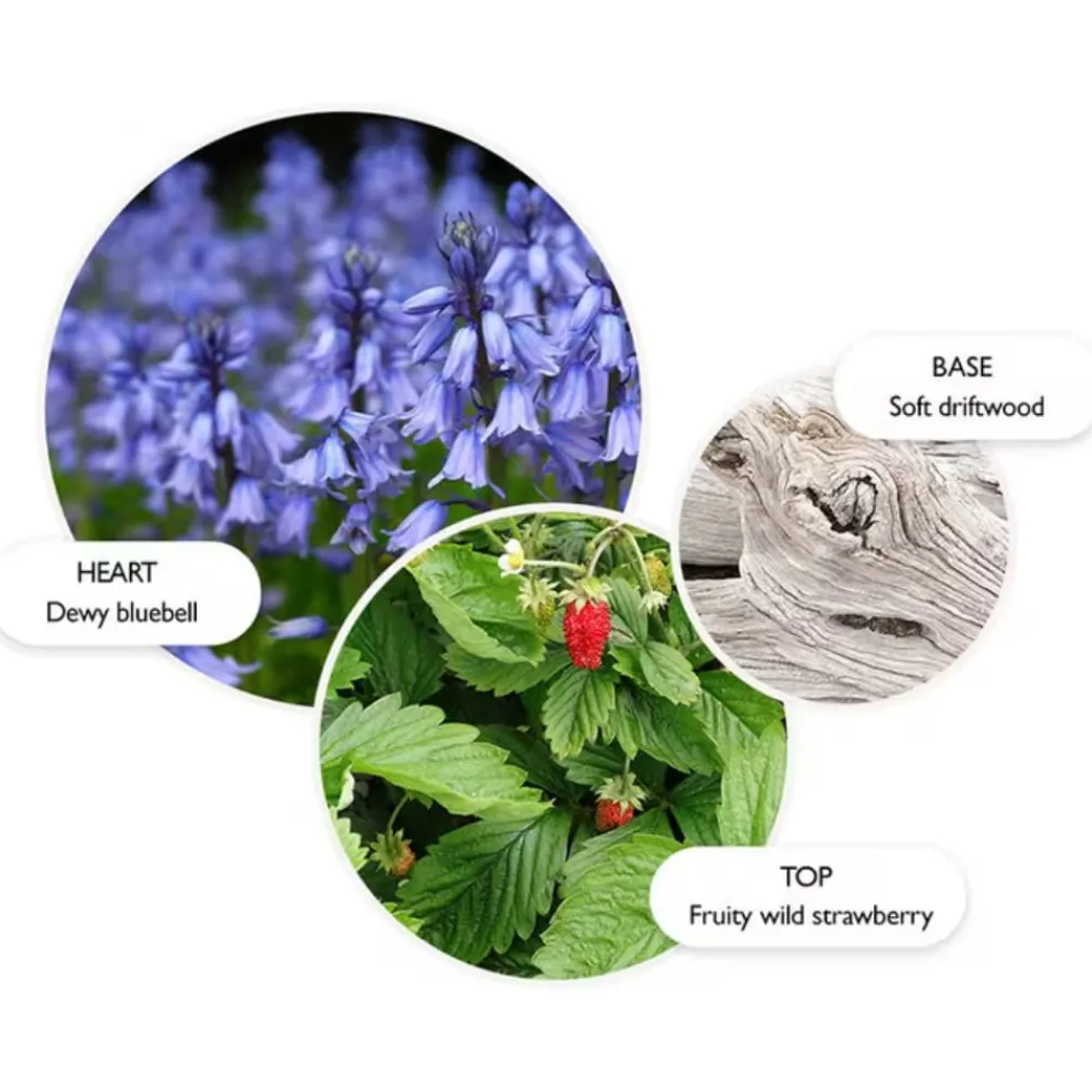 Molton Brown Dusj Og Bad|Bluebell & Wild Strawberry Bath & Shower Gel