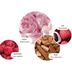 Molton Brown Parfyme|Delicious Rhubarb & Rose Eau De Parfum