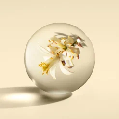 Molton Brown Dusj Og Bad|Orange & Bergamot Bath & Shower Gel