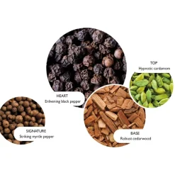 Molton Brown Duft|Parfyme|Re-Charge Black Pepper Eau De Parfum