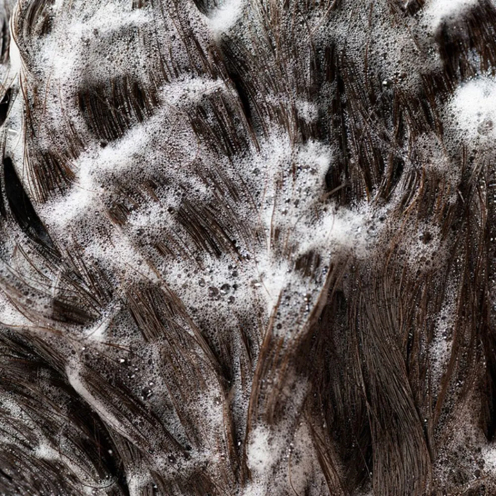 Oribe Hårpleie|Signature Shampoo